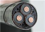 質優價廉，服務無憂 耐克森(陽谷)新日輝電纜，一站式電線電纜解決方案